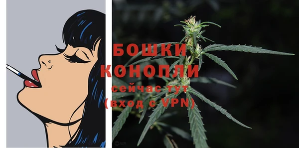 дурь Белоозёрский