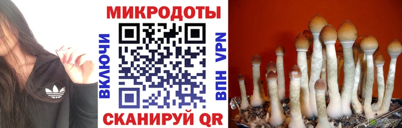 Купить закладки  Новотроицк  Галлюциногенные грибы ЛСД 